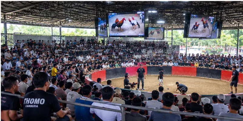Animal welfare awareness supports thoughtful evaluation of traditional activities
